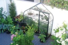 Royal Well | Muurkas Supreme Wall Garden met Fundering | Veiligheidsglas 3 mm | Groen